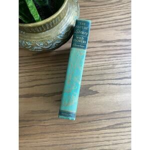 Vintage 1920s ‘Wild Flowers’ Book The Nature Series Hardcover Flower Book